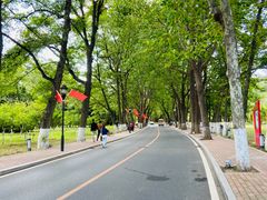 -棒棰岛宾馆景区