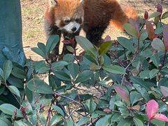 -常州淹城野生动物世界