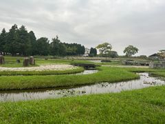 -宁波杭州湾国家湿地公园