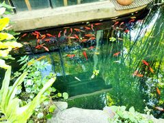 -新竹里馆·花园餐厅(兴苑路店)