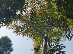 -龙头寺公园