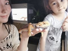 -昆明大悦城未来动物城(螺蛳湾中心店)