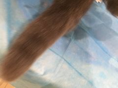 -美迦爱-牙专科·兔科·骨科诊疗中心(北苑店)