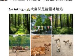 -日照海滨国家森林公园