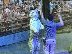 -清迈夜间动物园