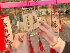 -梅花山(明孝陵内)