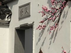 -无锡梅园公园