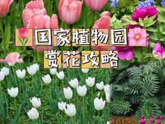 -国家植物园