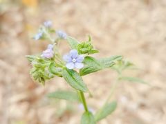 -南京市无想山景区