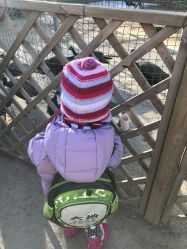 -萌宠亲子动物乐园(槐房万达店)