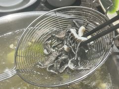 黑牛百叶-仄园围炉坊·牛肉火锅·汕头卤水火锅(蛇口店)