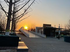 -大兴滨河森林公园