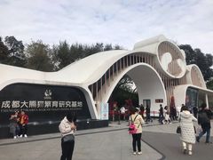 景点大门-成都大熊猫繁育研究基地