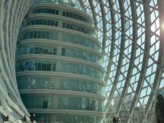 -凤凰中心