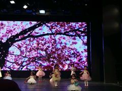 -美育儿童音乐舞蹈国际机构(浦东分校)
