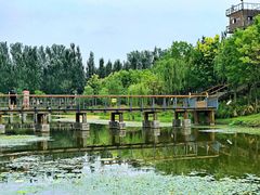 -东郊湿地公园