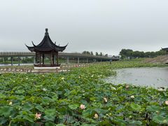 -朵云书院(滴水湖店)