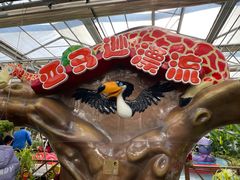 -南宫五洲植物乐园