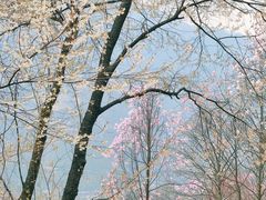 -九皇山景区