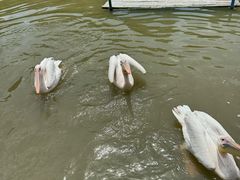 -宁波杭州湾国家湿地公园