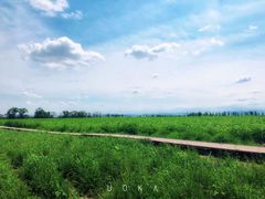 -西域欢乐城