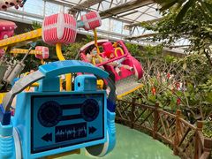 -南宫五洲植物乐园