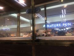 -乐宠宠物店(世纪金源店)