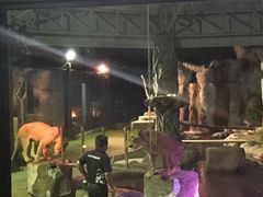 -清迈夜间动物园