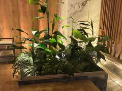 -浅深(北京北四环精品店)