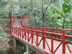 -广州市石门国家森林公园