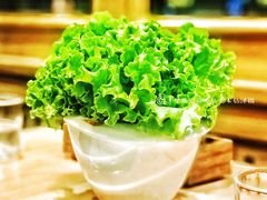 生菜叶-千纸鹤嫩汁烤肉(西大直街店)