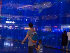 -成都浩海立方海洋公园