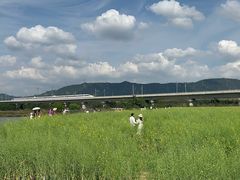 -光明小镇欢乐田园