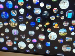 -贝林大翅鲸简餐厅(国家海洋博物馆店)