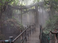 -青青世界