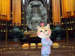 -韶关经律论国际酒店温泉