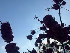 -太阳宫公园