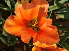 -芜湖新华联大白鲸海洋公园