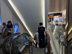 -新罗免税店(济州店)