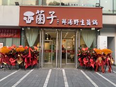-菌子鲜汤野生菌锅