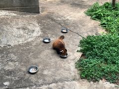 -昆明动物园