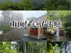 -莫干山风景区
