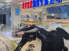-红星前进面包牛奶公司(君太店)
