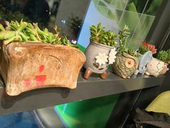 -金莹丸子汤清真(朝外SOHO店)