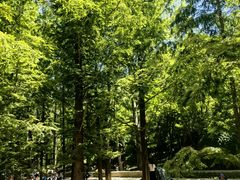 -白水寺森林公园