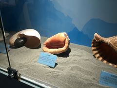 -常州海昌海洋探索馆