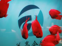 -圣和足道·瑶浴SPA·养生茶府(光华店)