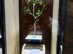 -辽宁古生物博物馆