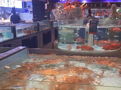 -尚海豆捞(乐虹坊店)