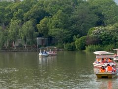 -八大山人梅湖景区